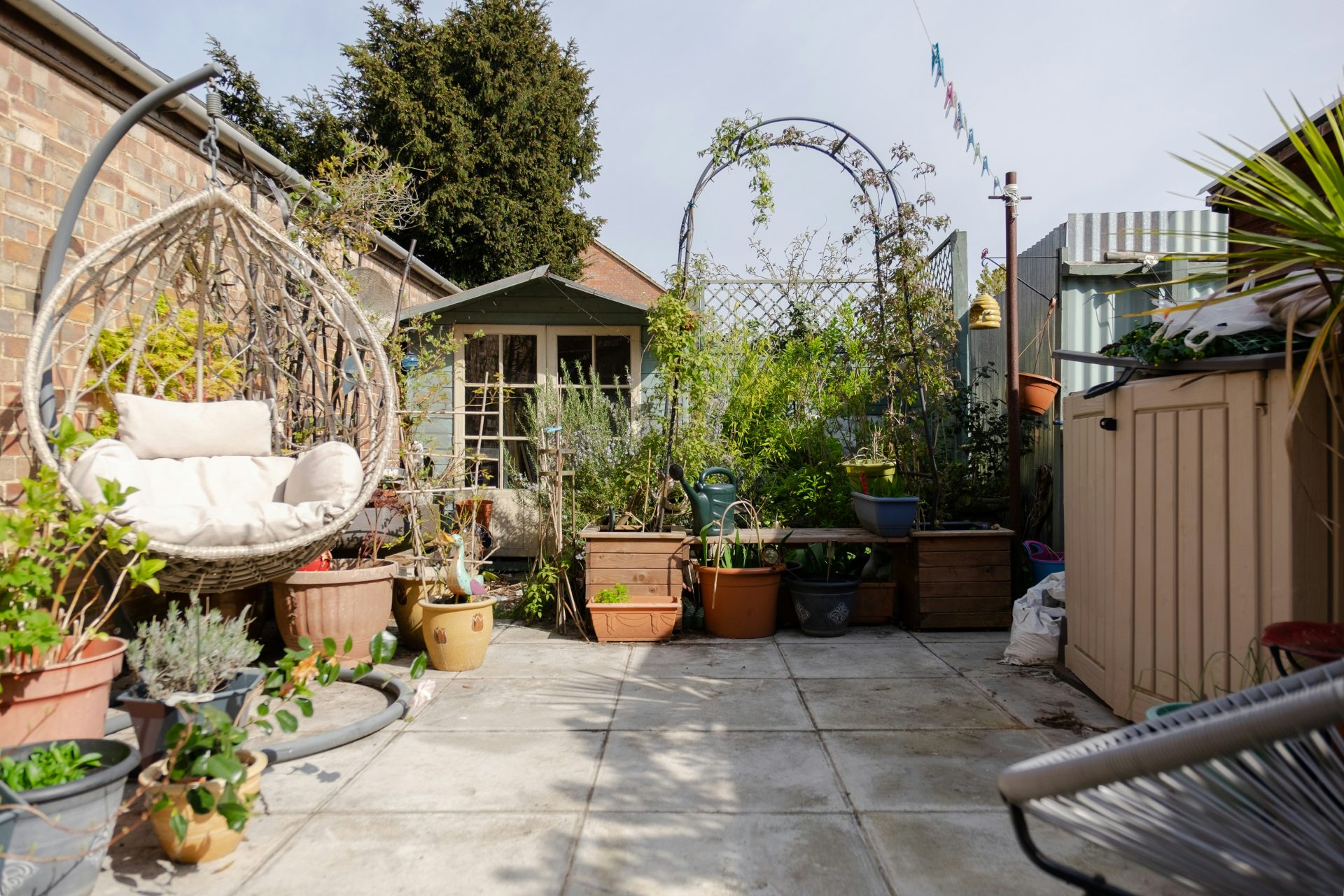 a back yard with lots of potted plants